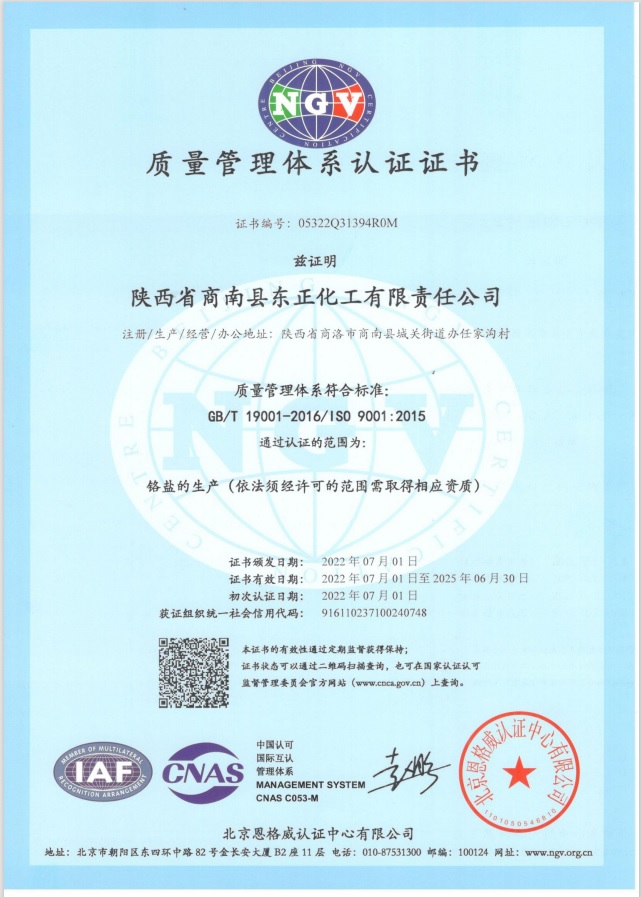 我公司顺利通过ISO 9001 质量管理体系认证